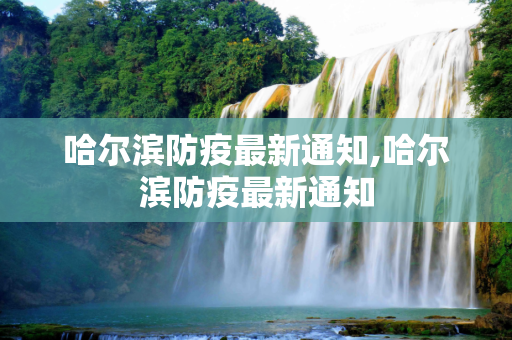 哈尔滨防疫最新通知,哈尔滨防疫最新通知