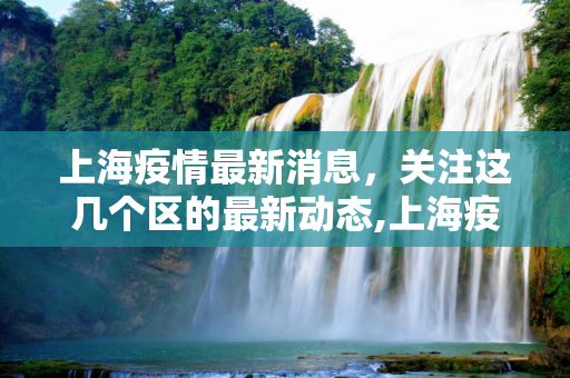 上海疫情最新消息，关注这几个区的最新动态,上海疫情最新消息在哪几个区