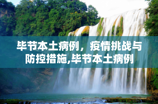 毕节本土病例，疫情挑战与防控措施,毕节本土病例