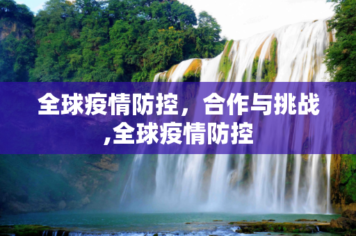 全球疫情防控，合作与挑战,全球疫情防控