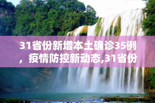 31省份新增本土确诊35例，疫情防控新动态,31省份新增本土确诊35例