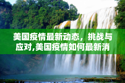 美国疫情最新动态，挑战与应对,美国疫情如何最新消息