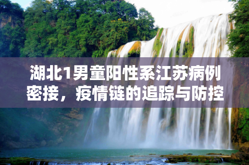 湖北1男童阳性系江苏病例密接，疫情链的追踪与防控,湖北1男童阳性系江苏病例密接