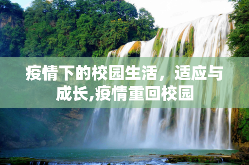 疫情下的校园生活，适应与成长,疫情重回校园