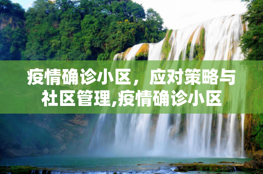 疫情确诊小区，应对策略与社区管理,疫情确诊小区