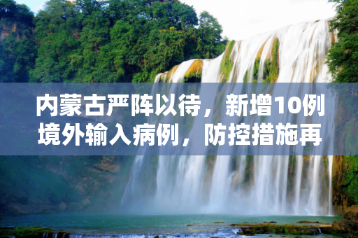 内蒙古严阵以待，新增10例境外输入病例，防控措施再升级,内蒙古新增10例境外输入