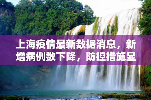 上海疫情最新数据消息，新增病例数下降，防控措施显成效,上海疫情最新数据消息新增