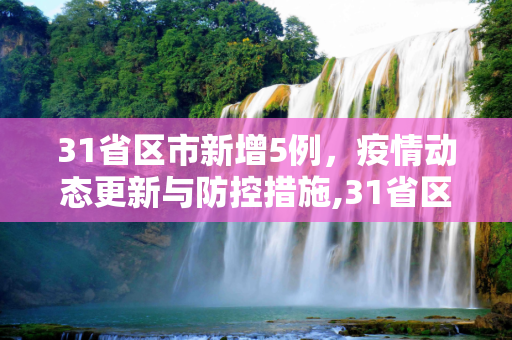 31省区市新增5例，疫情动态更新与防控措施,31省区市新增5例