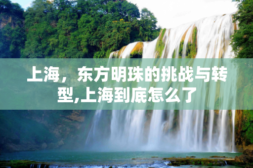 上海，东方明珠的挑战与转型,上海到底怎么了
