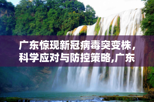 广东惊现新冠病毒突变株，科学应对与防控策略,广东发现新冠突变株