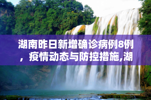 湖南昨日新增确诊病例8例，疫情动态与防控措施,湖南昨日新增确诊病例8例