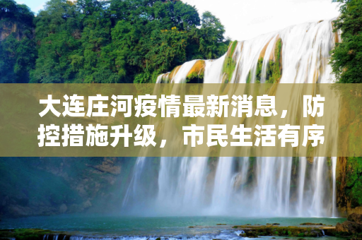 大连庄河疫情最新消息，防控措施升级，市民生活有序,大连庄河疫情最新消息