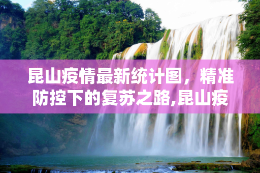 昆山疫情最新统计图，精准防控下的复苏之路,昆山疫情最新统计图