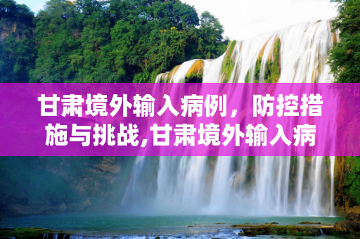 甘肃境外输入病例，防控措施与挑战,甘肃境外输入病例