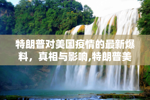 特朗普对美国疫情的最新爆料，真相与影响,特朗普美国疫情最新爆料