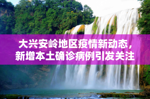 大兴安岭地区疫情新动态，新增本土确诊病例引发关注,大兴安岭新增本土确诊