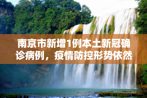 南京市新增1例本土新冠确诊病例，疫情防控形势依然严峻,南京新增1例本土