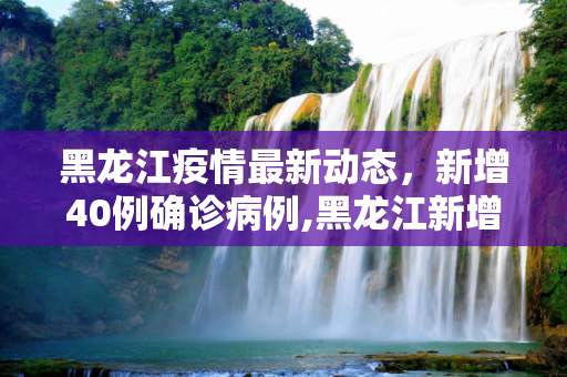 黑龙江疫情最新动态，新增40例确诊病例,黑龙江新增40例确诊病例