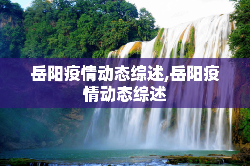 岳阳疫情动态综述,岳阳疫情动态综述