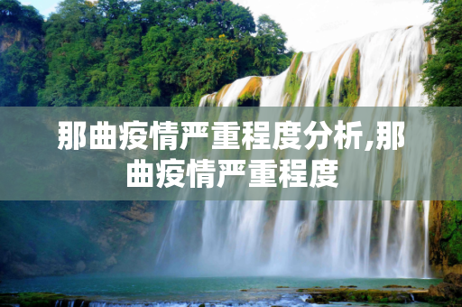 那曲疫情严重程度分析,那曲疫情严重程度