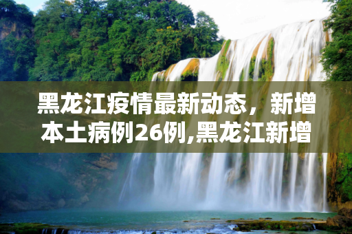 黑龙江疫情最新动态，新增本土病例26例,黑龙江新增本土26例