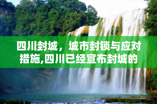 四川封城，城市封锁与应对措施,四川已经宣布封城的城市