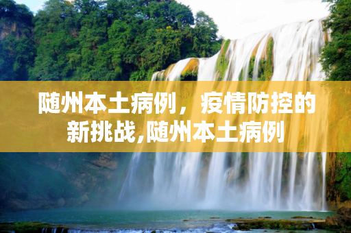 随州本土病例，疫情防控的新挑战,随州本土病例