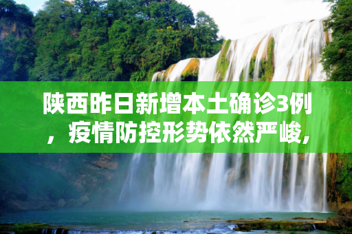 陕西昨日新增本土确诊3例，疫情防控形势依然严峻,陕西昨日新增本土确诊3例