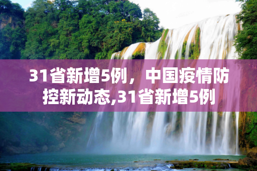31省新增5例，中国疫情防控新动态,31省新增5例