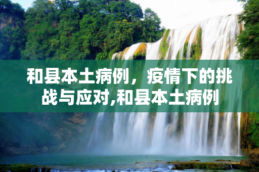 和县本土病例，疫情下的挑战与应对,和县本土病例