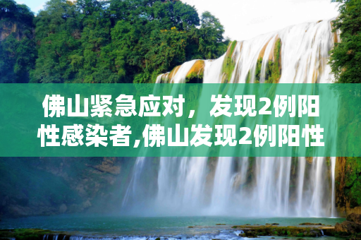 佛山紧急应对，发现2例阳性感染者,佛山发现2例阳性感染者