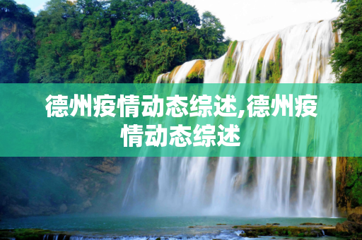 德州疫情动态综述,德州疫情动态综述