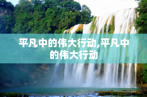 平凡中的伟大行动,平凡中的伟大行动