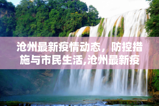 沧州最新疫情动态，防控措施与市民生活,沧州最新疫情