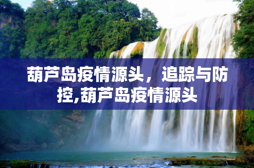 葫芦岛疫情源头，追踪与防控,葫芦岛疫情源头
