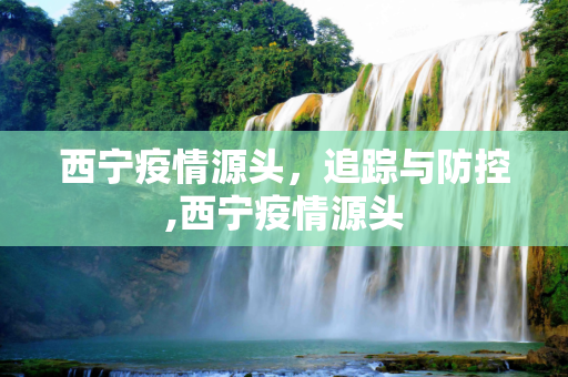 西宁疫情源头，追踪与防控,西宁疫情源头