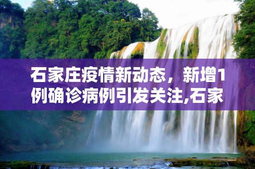 石家庄疫情新动态，新增1例确诊病例引发关注,石家庄新增1例确诊病例