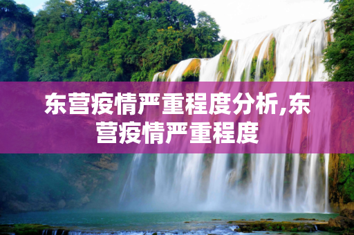 东营疫情严重程度分析,东营疫情严重程度