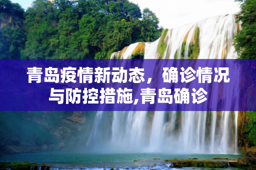 青岛疫情新动态，确诊情况与防控措施,青岛确诊