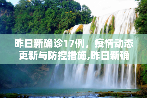 昨日新确诊17例，疫情动态更新与防控措施,昨日新确诊17例