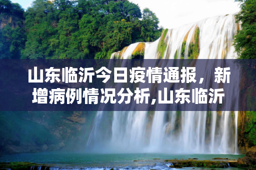 山东临沂今日疫情通报，新增病例情况分析,山东临沂今天新增病例