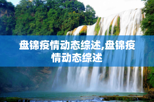 盘锦疫情动态综述,盘锦疫情动态综述