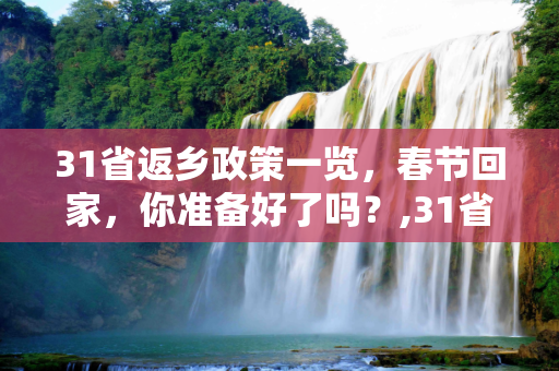 31省返乡政策一览，春节回家，你准备好了吗？,31省返乡政策一览