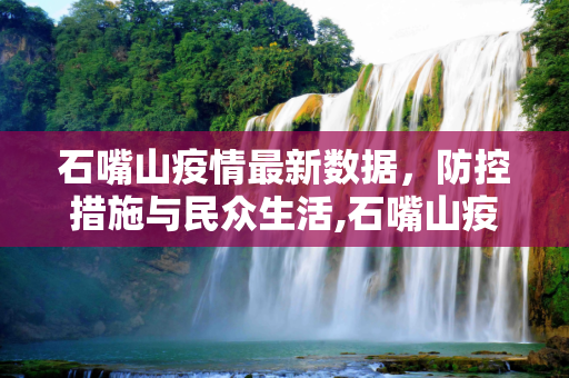 石嘴山疫情最新数据，防控措施与民众生活,石嘴山疫情最新数据