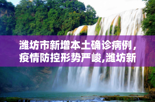 潍坊市新增本土确诊病例，疫情防控形势严峻,潍坊新增本土确诊
