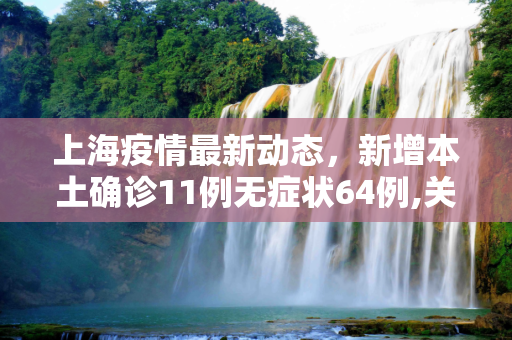 上海疫情最新动态，新增本土确诊11例无症状64例,关于上海新增本土确诊11例无症状64例的信息