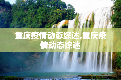 重庆疫情动态综述,重庆疫情动态综述
