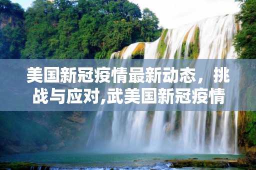 美国新冠疫情最新动态，挑战与应对,武美国新冠疫情最新消息