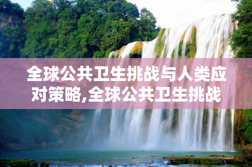 全球公共卫生挑战与人类应对策略,全球公共卫生挑战与人类应对策略