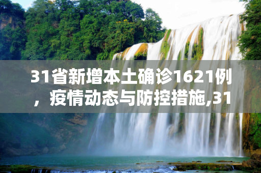 31省新增本土确诊1621例，疫情动态与防控措施,31省新增本土确诊1621例